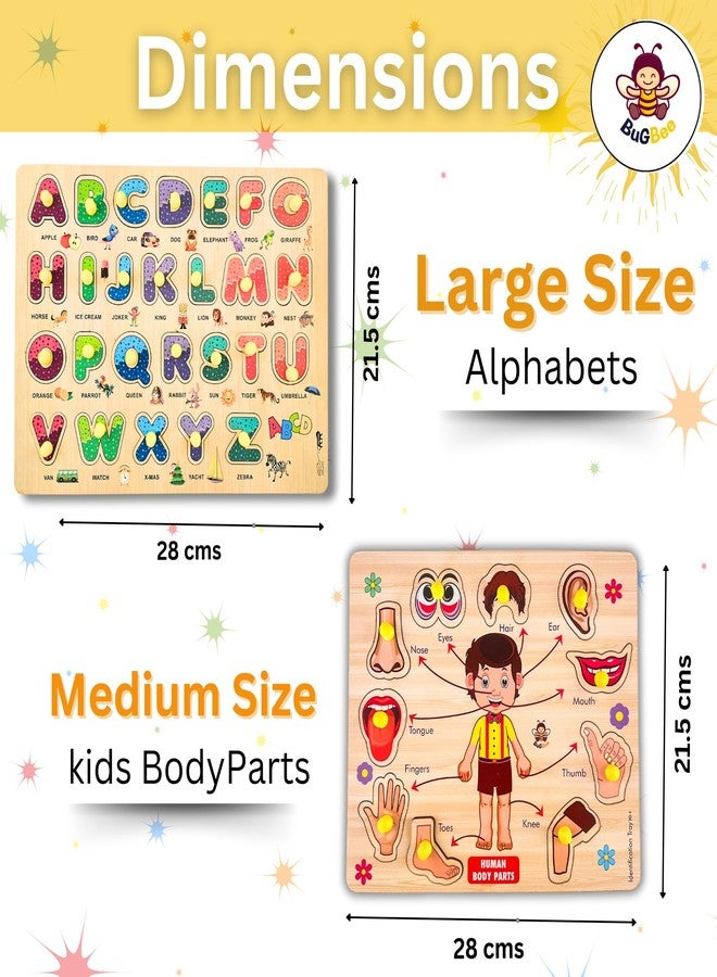 Bugbee Wooden Jigsaw Puzzle Toy for Kids | Colorful Learning STEM Educational Board Game for Boys & Girls| Human Body Parts, Alphabets ABCD, Numbers 1-10 | Baby Toys Birthday Gift for Ages 2-6 Years - Image 3
